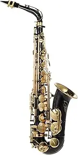Eacam Alto Saxophone Brass Lacquered Gold E Flat Sax 82Z Key Type Woodwind Instrument with Cleaning Brush Cloth Gloves Strap Padded Case