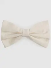 Reiss Light Ivory Boyle Tie (AW6600) | $120