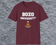 Varsity Meme TShirt, BOZO University Joke Tee, Stupid White Elephant Gift Shirt