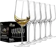 WOTOR White Wine Glasses Set of 6, Hand Blown Crystal Wine Glasses with Long Stem, 15 oz Red and White Wine Glasses with Great Gift Packaging, Light, Large, Modern Wine Glasses (Clear)