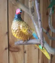 Handcrafted Lifelike Leather Pheasant, Made in Mexico
