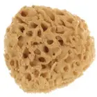Natural Sponge Bath Ball Back Scrubber for Shower Exfoliating Baby