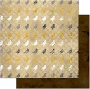 Sunshine in My Soul Double-Sided Heavy-Weight Paper 12"X12"-Birds 25 per Pack