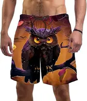 [KQNZT] Mens Swim Trunks, Men's Swim Trunks, Swim Shorts Men, Cartoon Animal Owl Night, Swimming Trunks