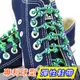 COOLKNOT彈性鞋帶 路跑 馬拉松 慢跑 運動 懶人鞋帶 免綁鞋帶 瑩綠藍網 (7.8折)