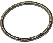 Rotax Max Genuine Power Valve Bellows Spring Large Go Kart Karting Race Racing