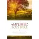 Holy Bible: Amplified: Captures the Full Meaning Behind the Original Greek and Hebrew