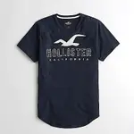 HOLLISTER HCO 短袖 T恤 藍色 0895