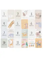 Baby Baby Milestone Cards