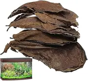 Catappa Leaves | 10Pcs Almond Leaves | Catappa Indian Almond Leaves | Shrimp Aquarium Care Lower PH for Shrimp, Betta Fishes to Lower Ph Levell and Improve Water Quality