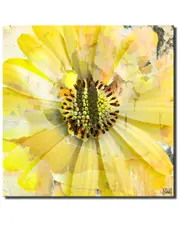Ready2HangArt Painted Petals XCV Wrapped Canvas Wall Art