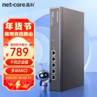 在飛比找京東台灣優惠-磊科（netcore）NBR200全千兆企業路由器 多WAN