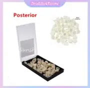 Dental Oral Temporary Teeth Crown Molar Posterior Resin Realistic Polycarbonate