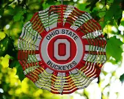 10" THE Ohio State Buckeyes OSU Hanging Wind Spinner Yard Decor Kinetic rws112