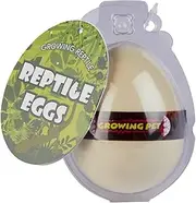 Ravensden Reptile Egg Hatching - 8cm Reptile Egg Growing Pet