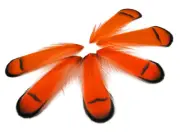 1 Dozen - ORANGE Lady Amherst Pheasant Tippet Feather