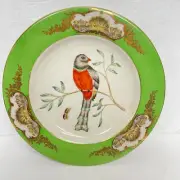 Mark Roberts Decorative Plate Parrot Bird 10.5” MINT BEAUTIFUL NEW!!