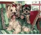 Paint By Numbers Adults kids Dogs Sitting Couch DIY Painting Kit 40x50CM Canvas