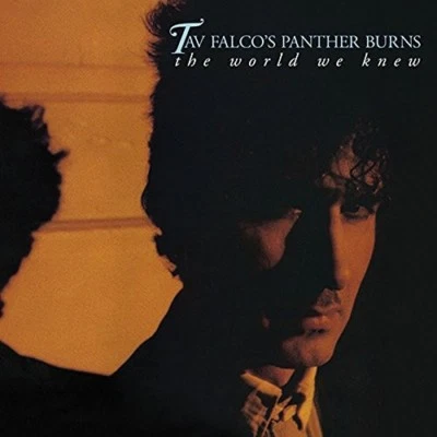 TAV & PANTHER BURNS FALCO-THE WORLD WE KNEW/SHAKE RAG/LIVE IN BORDEAUX 2 CD NEW!