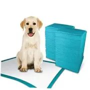 TBM Dog and Puppy Pee Pads 100 Count, 23.6 x 23.6 Inches with Leak-Proof Quick