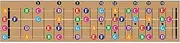 Color Coded Ukulele Guitar Fretboard Note Chart Learn to Play Guitar and Music Theory, Suitable for all Levels
