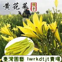 在飛比找蝦皮購物優惠-台園［開發票］收據 免運 【食用黃花菜種子】 金針菜籽 四季