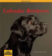 Labrador Retrievers (Breed Profiles) by in New