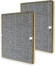 PUREBURG Replacement Filter Compatible with TaoTronics TT-AP002 & VAVA VA-EE008 Air Purifiers,2-Pack H13 HEPA Activated Carbon 2-IN-1 Air Clean VOC Dust
