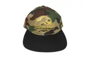 Jurassic Park Camo Logo Snapback Cap (Multicoloured) (One Size)