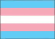 ATA-BOY TRANSGENDER FLAG REFRIGERATOR MAGNET 2.5” X 3.5” NEW