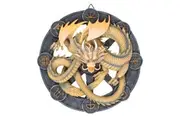 Anne Stokes Imbolc Resin Dragon Plaque (Light Yellow/Grey) (One Size)