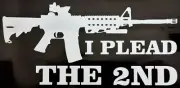 I Plead The 2nd.... 2nd Amendment Truck AR Decals Sticker (4 Pack) #163
