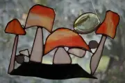 Australian RAIN FOREST FUNGI MUSHROOMS on LEAF LITTER Stained Glass SUNCATCHER