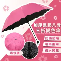 在飛比找momo購物網優惠-【遇水開花】加厚黑膠八骨三折變色傘(手動 抗紫外線 晴雨兩用