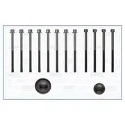 Austral Cylinder Head Bolt Set - 81045900