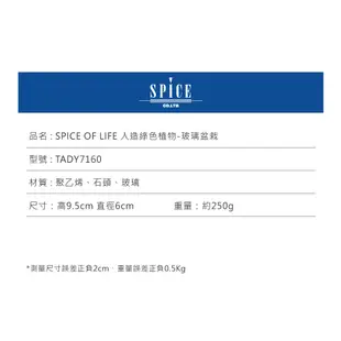 SPICE 日本雜貨 人造綠色植物玻璃盆栽 三款 人造盆栽 假花 假盆栽 假植物 網美道具