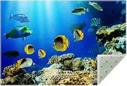 Rugs Machine Washable Area Rug with Non Slip Backing for Living Room, Bedroom, Bathroom, Kitchen, Printed Home Decor, Floor Decoration Carpet Mat, Marine Animal Coral Tropical Fish Sea