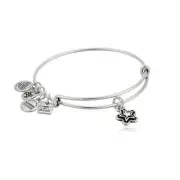 Alex and Ani TRUE WISH Rafaelian Silver Charm Bangle | Brand New with Card & Box