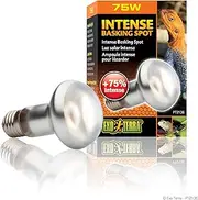 Exo Terra Intense Basking Spot Lamp, 75 W