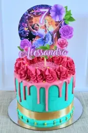 ENCANTO THEME PERSONALISED GLOSSY CARDSTOCK CAKE TOPPER DECORATION