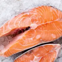 在飛比找蝦皮商城優惠-【冷凍生鮮】鮭魚輪切片300g