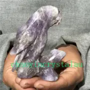 0.39LB Natural Dreamy Amethyst parrot Skull Quartz Crystal Carved Reiki XK1412