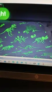 DINOSAUR-GLOW IN THE DARK - THROW BLANKET- NEW- 50" X 60"-GRAY