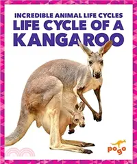 在飛比找三民網路書店優惠-Life Cycle of a Kangaroo