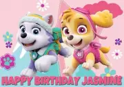 A4 Sheet PAW PATROL Edible Cake Topper Wafer Paper Personalised SKYE & EVEREST