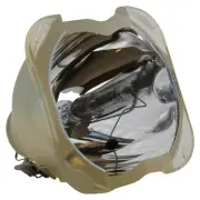 AL™ Series Lamp (Bulb Only) for The Acer PD322 Projector - 90 Day Warranty