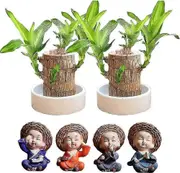 Brazilian Wood Potted Plant Decoration For Home Office Decoration4pc Home Decor