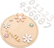 MOLUCKFU Monthly Milestone Wooden Newborn Milestone Signs Infants Nursery Sign Announcement Board Photo Prop