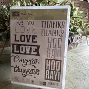 NEW Stampin' Up! NEW Stamp Set Double Take Love For You Thanks Hoo Ray! Congrats