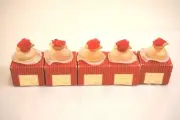 Fiorilu by Pupa five pieces of empty miniature perfume glass bottles (EMPTY)